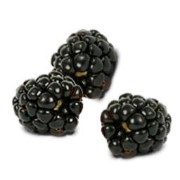 Black Raspberries