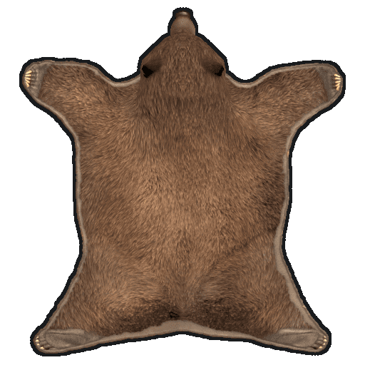 Rug Bear Skin