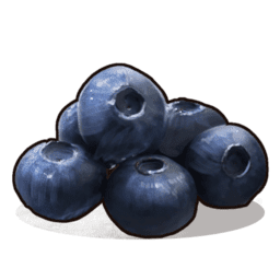 Blueberries